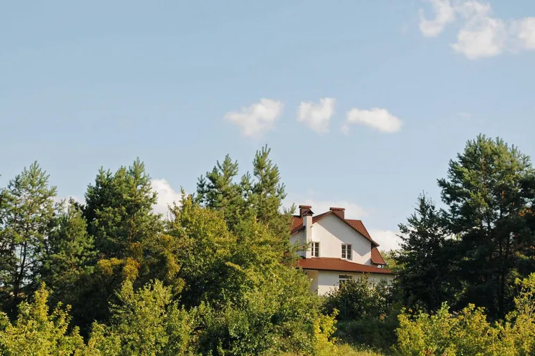 КГ Між лісом та горою