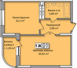 1ж