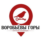 Воробьевы горы