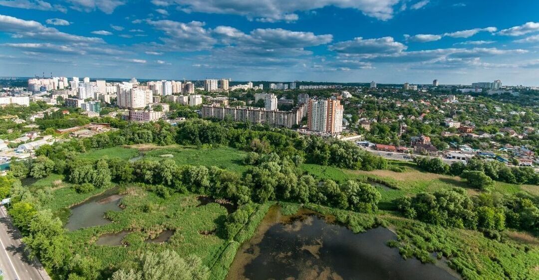 Совские пруды киев Совские пруды киев