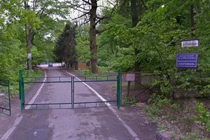 "Малоцінна рослинність": у Києві хочуть вирубати прадавній ліс під забудову