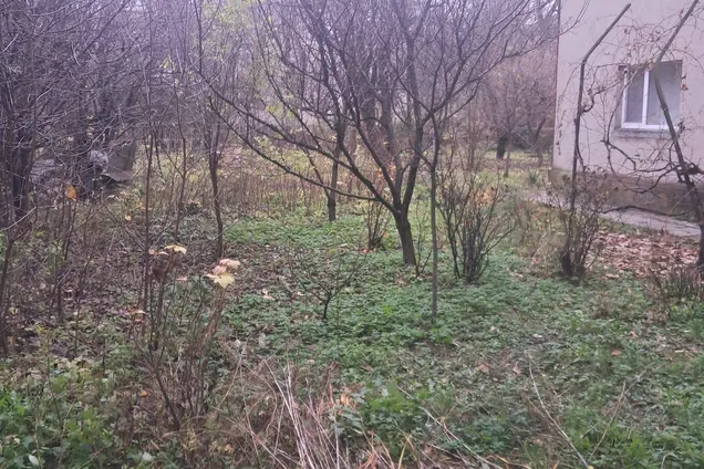 Ужгородці захистили сквер від забудови після місяців боротьби