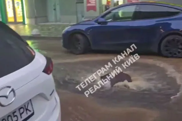 "Варшавський" знову підтопило: на Виноградарі стався масштабний порив водогону