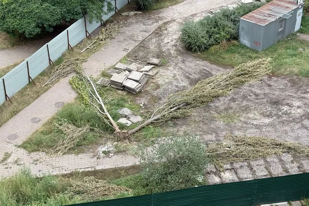 ДІАМ почала перевірку забудови біля скверу Тичини