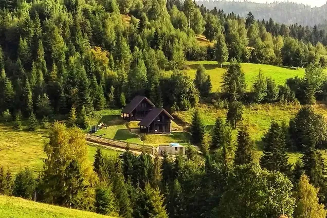 Оренда житла в Карпатах подорожчала: де зросли ціни найбільше