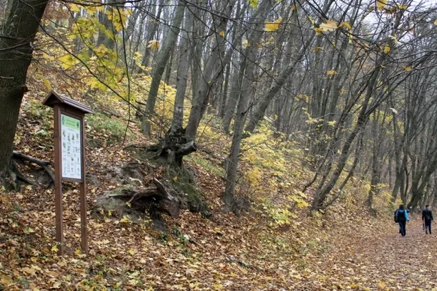 У Києві судяться за землю з археологією, де планують звести ЖК