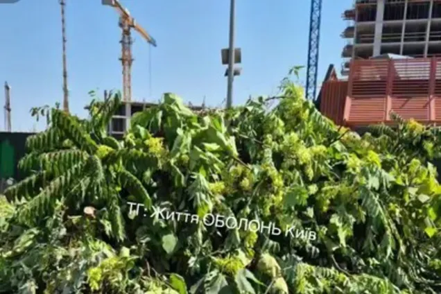 Інтергал-буд знищив дерева під час скандального будівництва на Оболоні