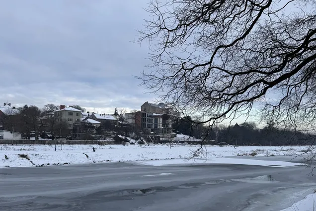 В Ужгороді спалахнув скандал через забудову Ботанічної набережної