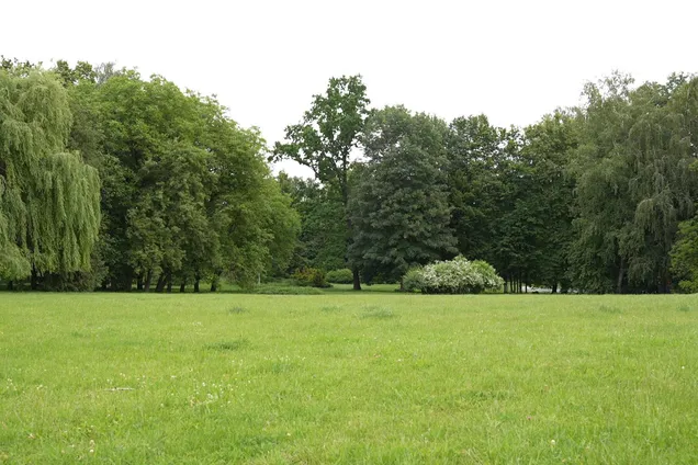 Хмельницкий горсовет согласовал застройку возле дендропарка