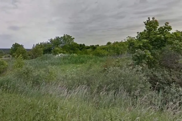 Суд повернув Львову землю під забудову в Лисиничах