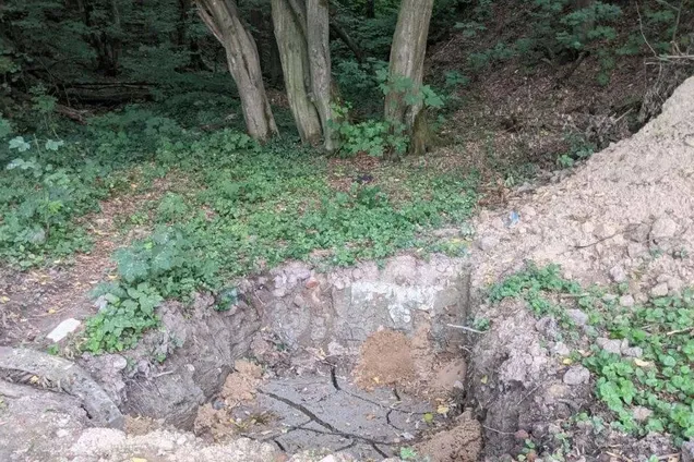 У Львові забудовник знищив дерева у заповідній зоні