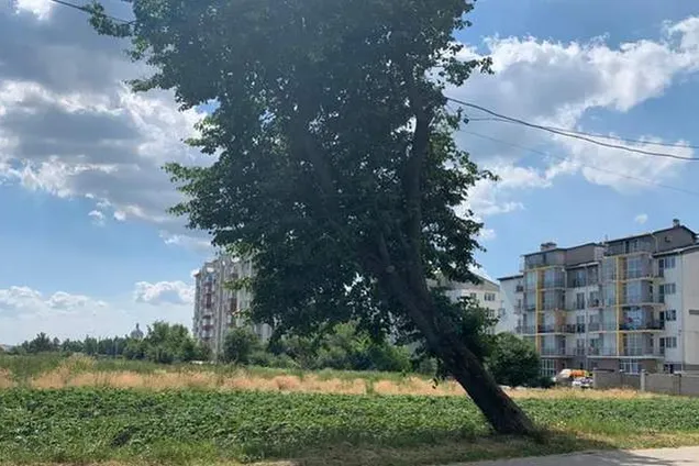 Во Львовской области продали землю под многоэтажку за более 30 млн грн