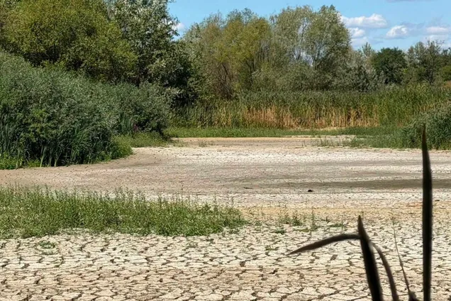 Из-за застройки в Ужгороде высыхает главное Черное озеро